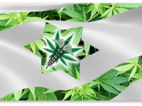 Израиль: Правительство разрешило продавать марихуану в аптеках