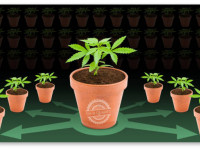 Как сделать хороший гроубокс для клонов