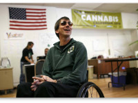 Калифорния: Активисты Калифорнии пришли к поддержке единого плана легализации