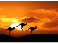 Сенат Австралии рассматривает закон о медицинской марихуане