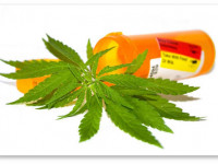 Исследование: Обезболивание каннабиноидами безопасно и эффективно