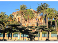 Легальная марихуана в Салоу (Коста Дорада, Испания)