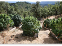 Извечные вопросы новичков: На чем гровить и какие лампы использовать?