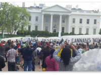 США: Активисты, надувшие 15-метровый косяк под окнами Обамы, добились приглашения в Белый дом