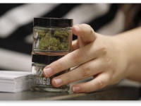 Исследование: Конопляные магазины и аптеки не продают товар несовершеннолетним