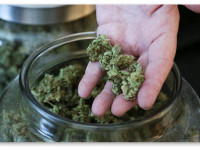 Колорадо: Крупные игроки конопляной отрасли пытаются изменить правила в свою пользу