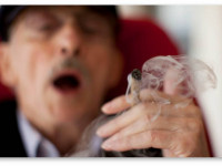 Нью-Йорк: Американские евреи одобрили продажу кошерной марихуаны