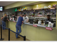 Колорадо: Употребление марихуаны подростками снизилось после легализации и меньше, чем в среднем по стране