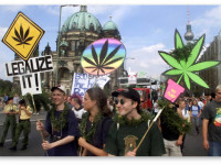 84% жителей Берлина - за легализацию либо медицинской, либо рекреационной марихуаны