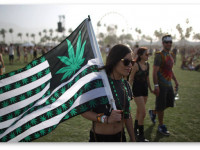 США: Штат Огайо проголосовал против легализации марихуаны