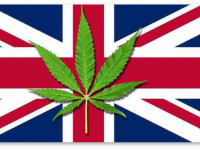 Великобритания: Парламент говорит, что потребление конопли является естественным правом человека