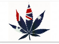 Австралийское правительство создает национальную систему регулирования медицинской конопли