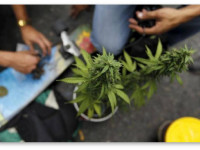 Колумбия легализует медицинскую марихуану