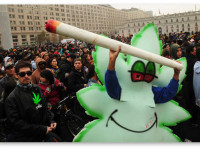 Законодатели Чили обсудят легализацию марихуаны и другие заголовки