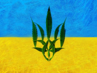 Украинцы не хотят легалайз?
