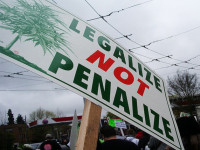 Орегон будет голосовать за легализацию конопли осенью