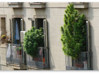 Превратилась ли Барселона в новый Амстердам?