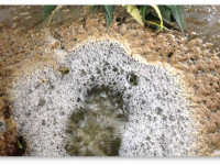 Используйте листву и отходы от производства гашиша для подкормки конопли