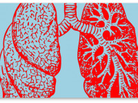 Эффективность марихуаны высоко оценивается раковыми больными Эффективность марихуаны высоко оценивается раковыми больными