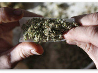 Мэн, США: Вопрос о полной легализации марихуаны включен в бюллетени этого года