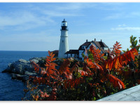 Легализация марихуаны на востоке США. Первая цель - штат Мэн?