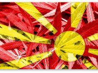 Македония легализует медицинское применение марихуаны Македония легализует медицинское применение марихуаны