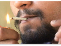 Употребление марихуаны связано с нездоровой спермой. Что не обязательно ведет к бесплодию