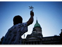 Колорадо: Доходы с легальной травы идут на благие дела