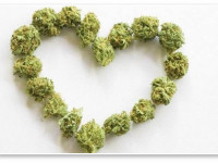 Исследование: Курильщики марихуаны имеют меньше шансов умереть от сердечного приступа