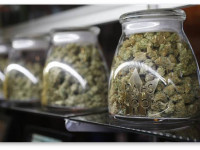 Исследование: Многолетнее употребление марихуаны связано с болезнью десен