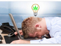 Может ли марихуана улучшить концентрацию внимания и продуктивность?