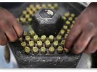 Массачусетс: Марихуана вновь стала легальной после ста с лишним лет запрета