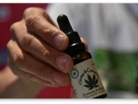 Польша: Депутат-рэппер представил билль по легализации медицинской конопли