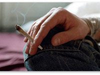 Трава - первый шаг к табаку?