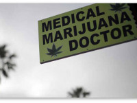 США официально признали: Марихуана убивает раковые клетки