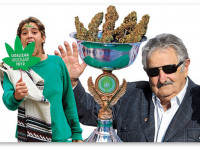 Легальная марихуана скоро появится в аптеках Уругвая