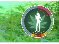 Как употребление марихуаны влияет на менструальный цикл