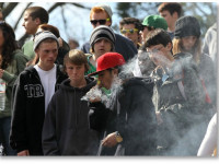 Декриминализация конопли будет приоритетом у законодателей Мэриленда в 2014