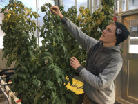 Закончи колледж с зеленым дипломом!