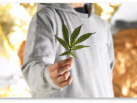 Иллинойс, США: Опубликованы правила экстренного предоставления медицинской марихуаны детям