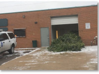 После рейдов в Колорадо большинство аптек и теплиц снова в деле