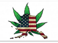 Полиция Чикаго больше не будет наказывать за хранение марихуаны. И другие заголовки