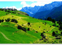 Швейцария - одна из самых терпимых к марихуане стран