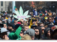 Правозащитники призвали ООН к реформе международной наркополитики. И другие заголовки