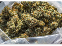 Легализация марихуаны в Неваде включена в бюллетени 2016 года и другие заголовки