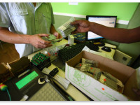 Последние исследования конопли, о которых вам не расскажут СМИ Последние исследования конопли, о которых вам не расскажут СМИ