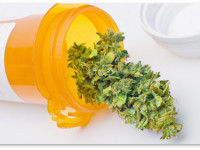 Компонент конопли бета-кариофиллен как лекарство от тревоги и депрессии?