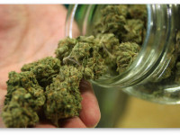 США: Суд запретил федералам трогать предприятия медицинской марихуаны. И другие заголовки