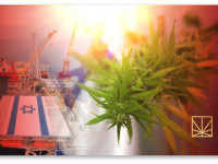 Израиль: Темпы развития медицинской конопли могут опередить газовую промышленность