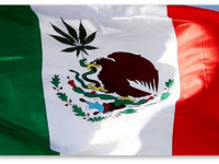 Верховный суд Мексики не разрешил использование марихуаны в медицинских целях
